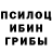 Псилоцибиновые грибы Psilocybe liav zikov